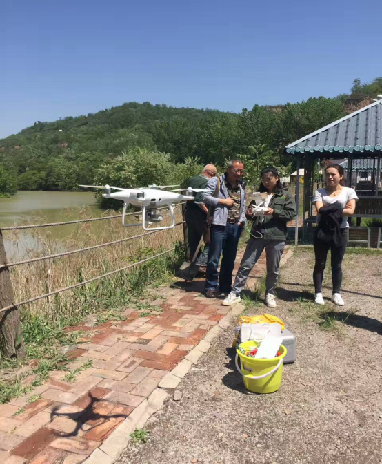 1495372420396015gUFw.png 1495372420396015gUFw.png