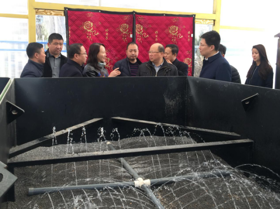 1512699725423399R53S.png 圖片01.png